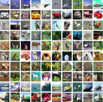 Reverse Image Search Engine